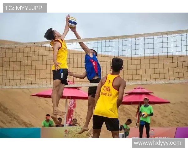 权威发布：排球状态实力榜单